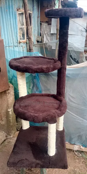 New Cat Tree