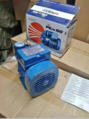 0.5hp Pedrollo Water Pump
