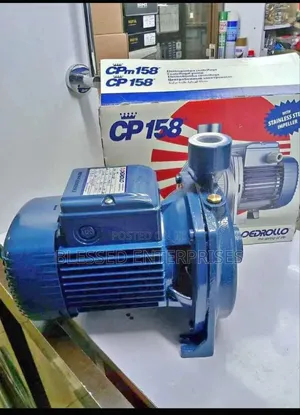 Most Selling 9hp Padrollo Water Pump