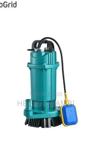 Premier 1hp 1.5m3/Hr Shallow Well Submersible Water Pump
