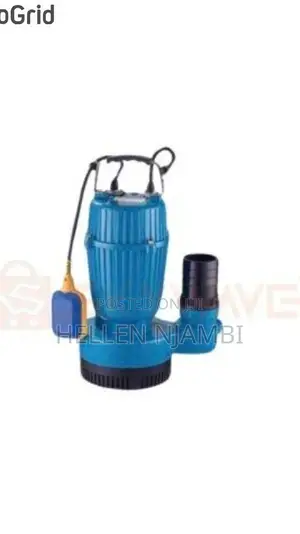 Premier 2" 3hp Shallow Well/Sewage Pump(15m Head)