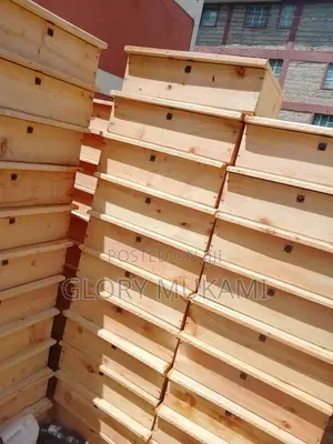 School Lockers Box