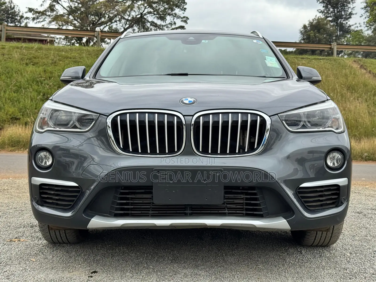 BMW X1 2017 Gray