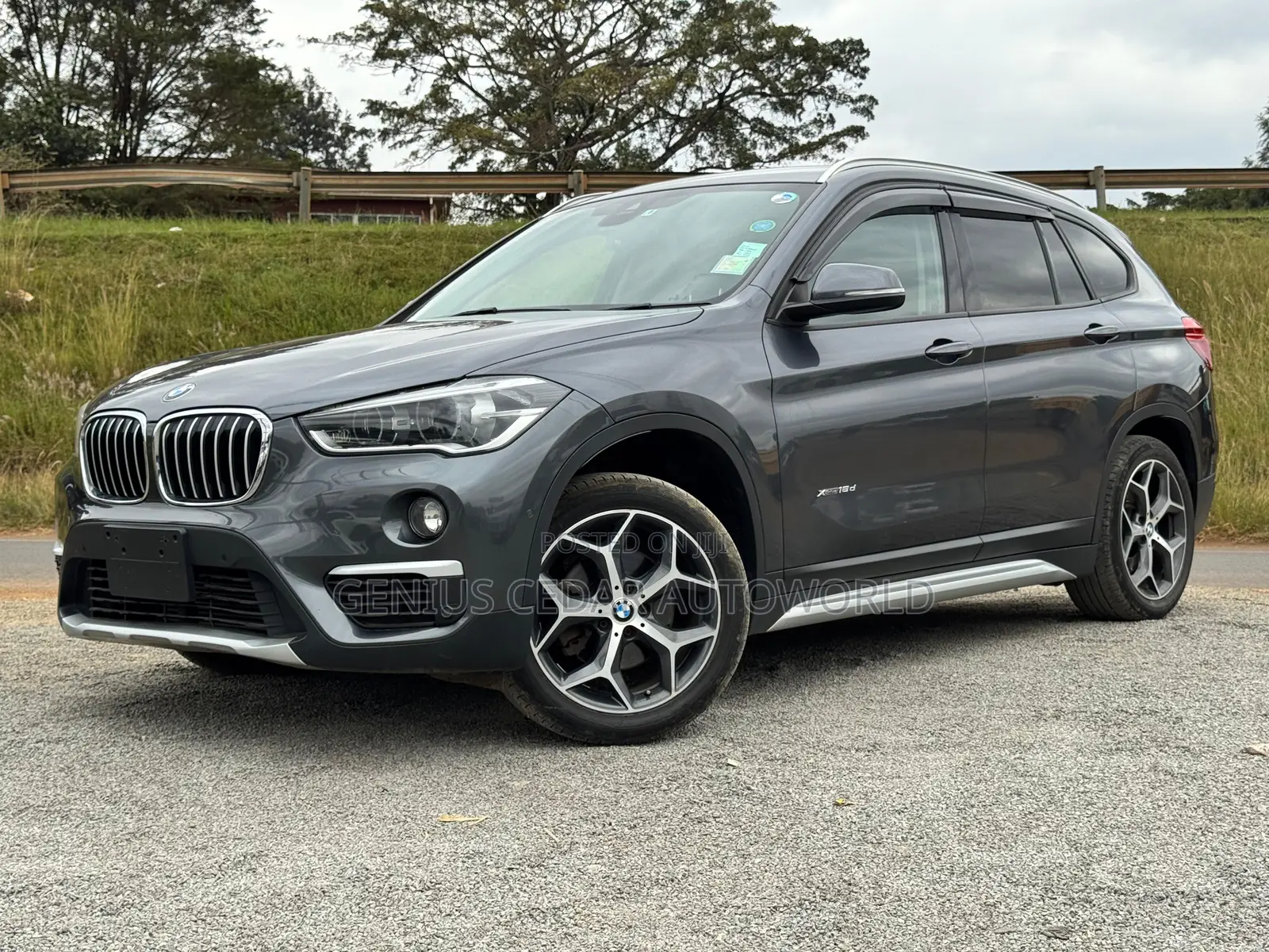 BMW X1 2017 Gray