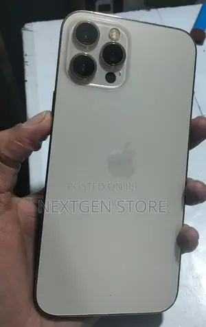 Apple iPhone 12 Pro Max 128 GB Gray