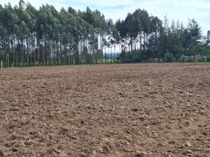 0.5 Acre Plots in Gatimu