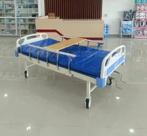 Double Crank Hospital Bed With Matress
