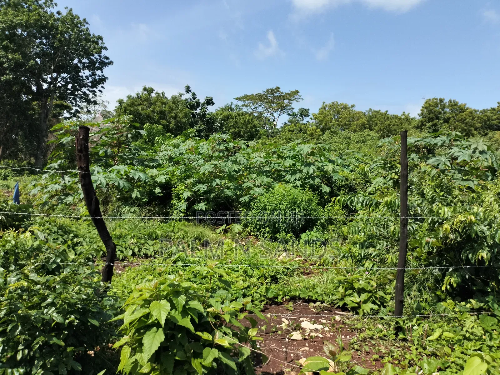 Diani Fourth Row Beach Plot