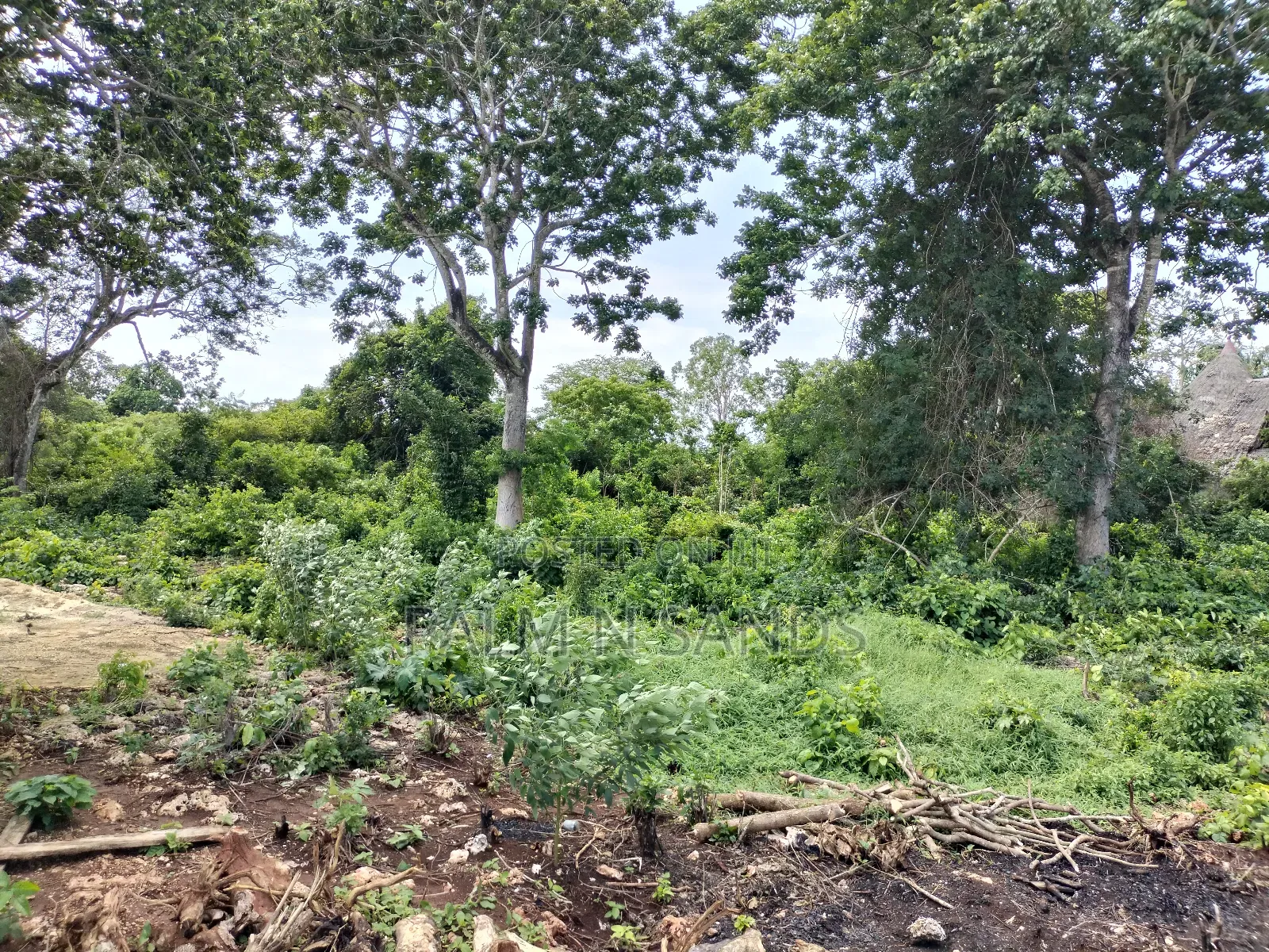 Diani Fourth Row Beach Plot