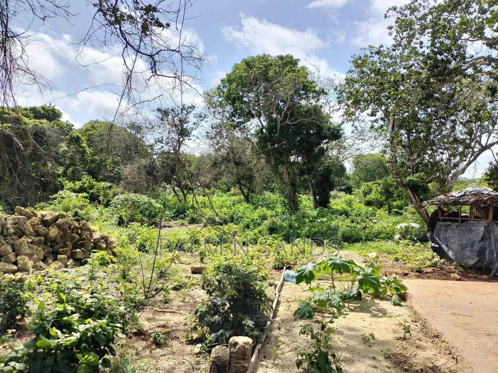 Diani Fourth Row Beach Plot