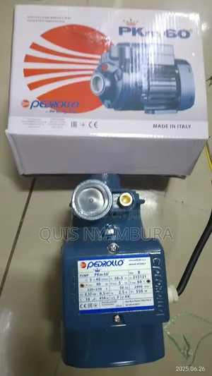 0.5hp Pedrollo Water Pump Pkm60/Electric Pedrollo Pump