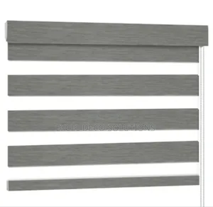 Sheer and Opaque Striped Zebra Blinds