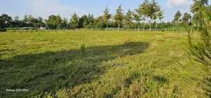 Several1 and 1⁄2 Acres Percels for Sale in Kapseret Eldoret