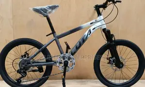 Mountain Bike Size 20/Affordable Mountain Bike Luta