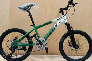 Size 20 Mountain Bike/Mountain Bicycle Luta