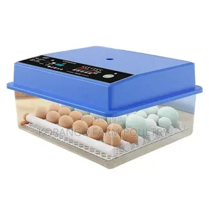 Solar Powered Eggs Incubator