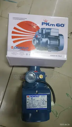 0.5hp Pedrollo Water Pump/Electric Pedrollo Pump Pkm60