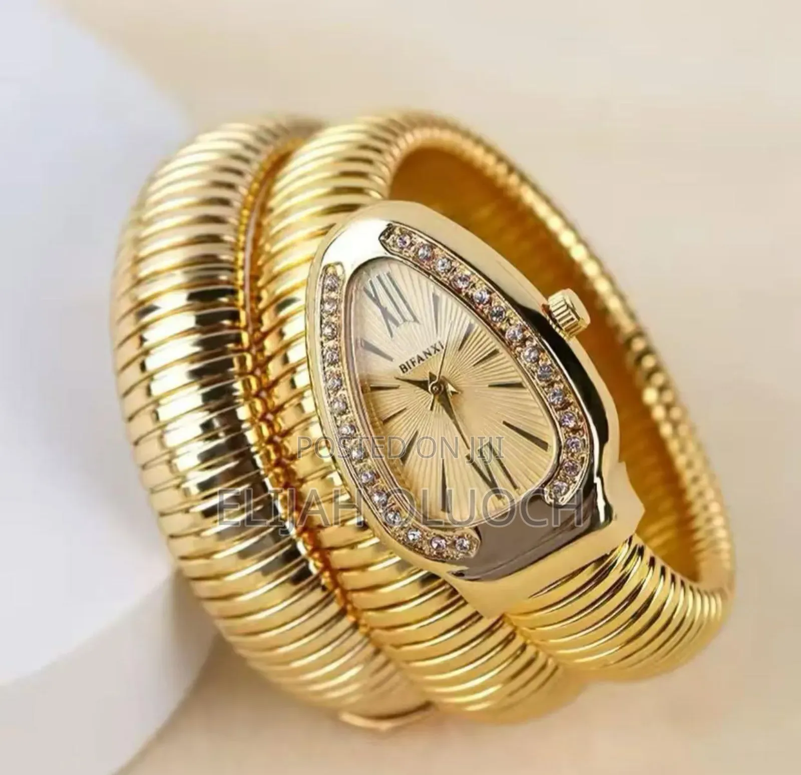 Ladies Spiral Watch