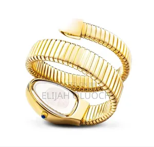 Ladies Spiral Watch