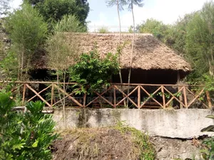 Makuti Roofing for Dinning Hall and Homes