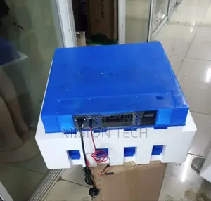 64 Eggs Capacity Full Auto Incubator