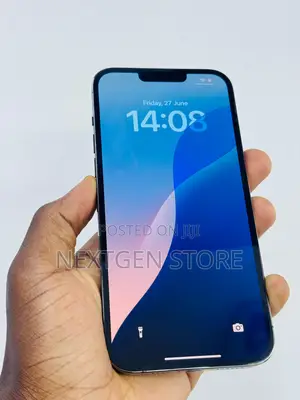 Apple iPhone 13 Pro Max 256 GB Gray