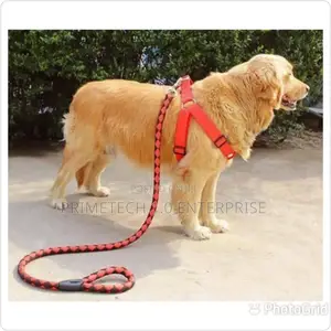Medium Dog - Dog Leash