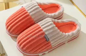 Indoor Shoes