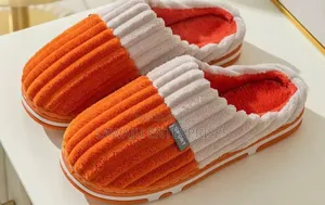 Indoor Shoes