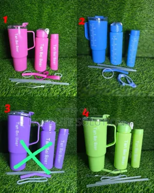 3 in 1 Stanley Bottle Available