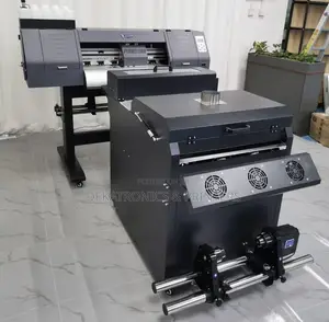Yinghe 60cm Width DTF Printer With Double Epson Xp600 Heads