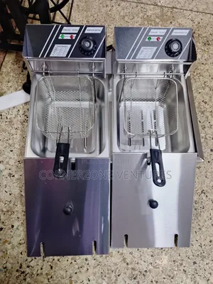 Double Deep Fryer / Chips Fryer