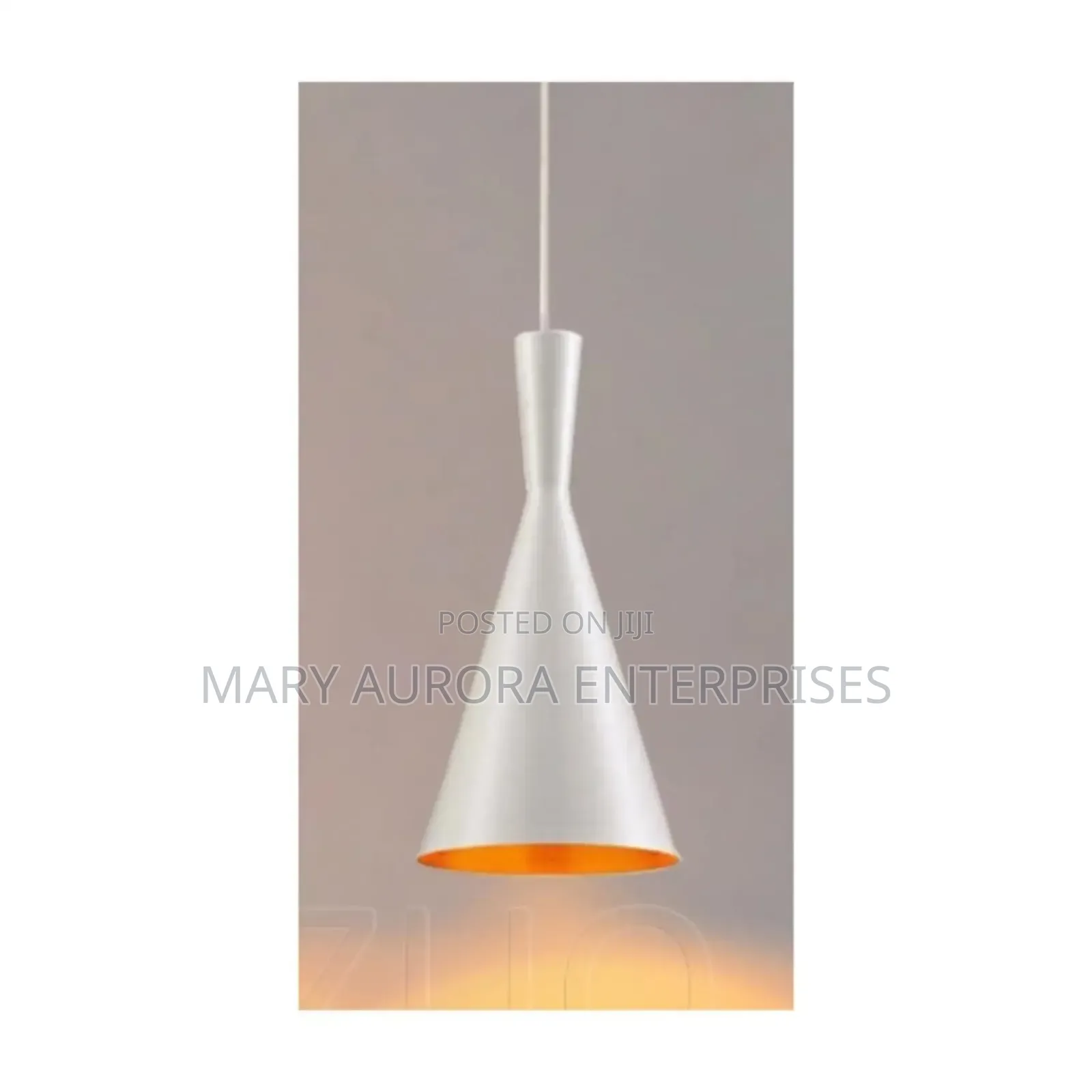 Pendant Lights/Hanging Lights