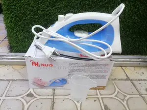 Most Valuable 1200w Steam Iron Box