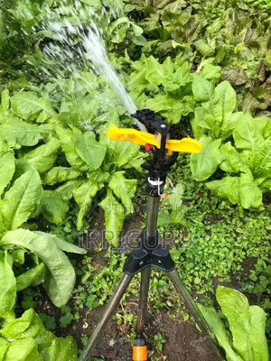 Sprinklers for Sukuma Wiki