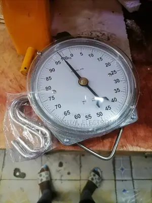 Well Performing 100kg Salter Scale