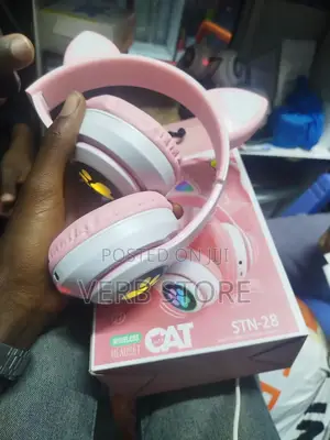Cat Ear Headphones