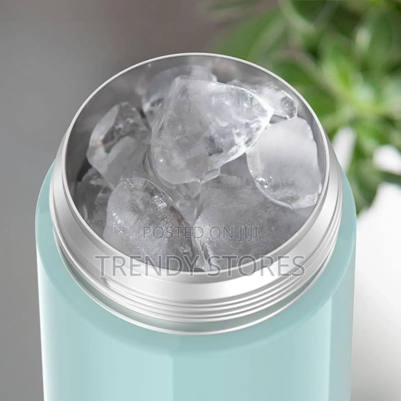 Food Flask