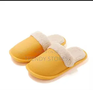 Indoor Shoes