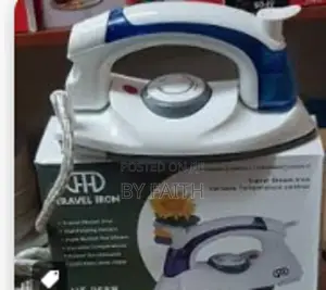 Travel Iron Box Steam