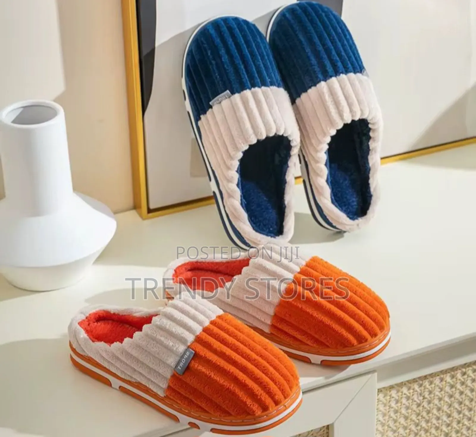 Indoor Shoes