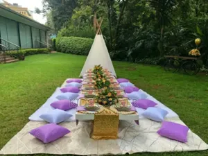 Luxury Picnic Experience