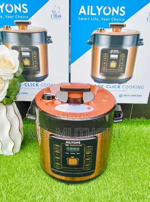 6 L Ailyons Electric Pressure Cooker*
