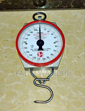 Hanson Weighing Machine/ Hanson Hanging Scale