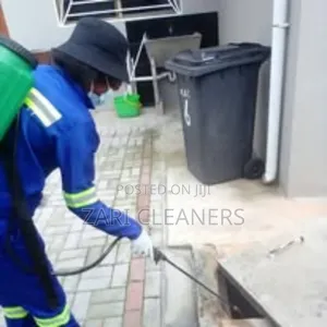 Dust Mites and General Fumigation