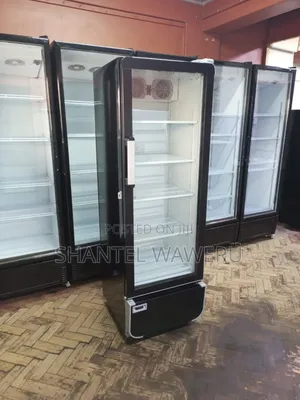 Display Kioo Refrigerator/ 400litres
