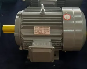 7.5hp Three Phase Stcl Italy Motor 2900rpm
