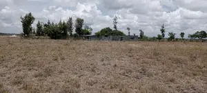 Plot for Sale at Malaa
