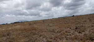 Plot for Sale at Malaa