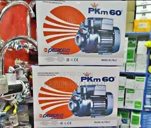 Pkm60 Pedrollo Water Pump 0.5hp/Electric Pedrollo Water Pump